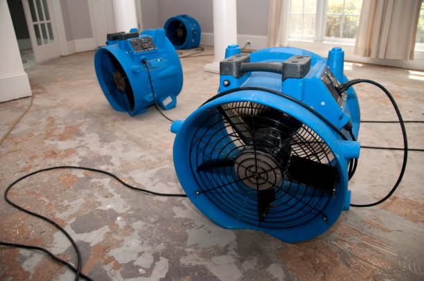Best Professional water damage repair  in New Baden, IL