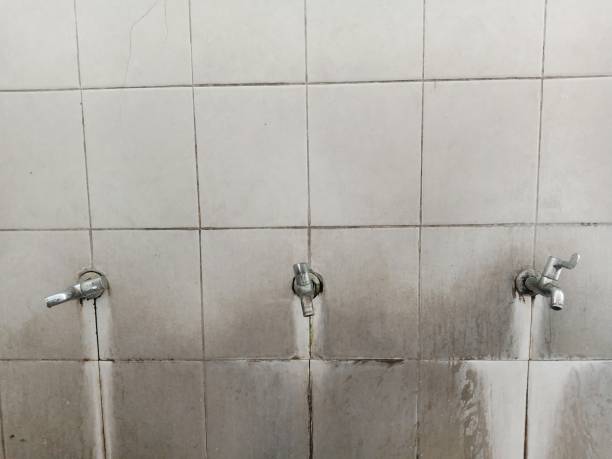 Best Professional water damage repair  in New Baden, IL